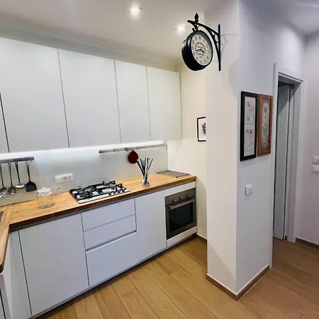 Katy 公寓 维亚雷焦